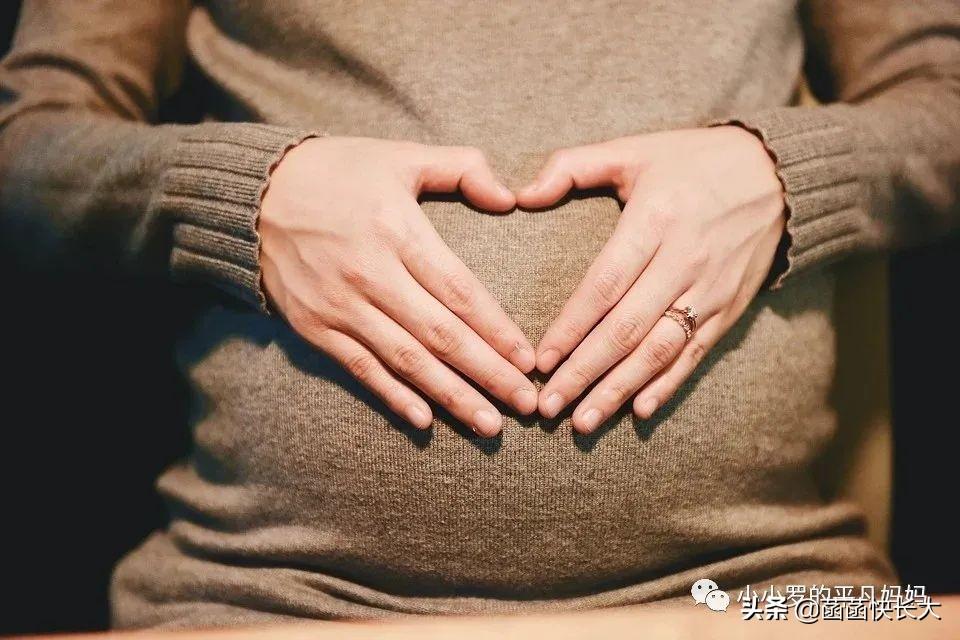 怀孕十个月，你的身体都发生了哪些变化？全文详解孕育历程